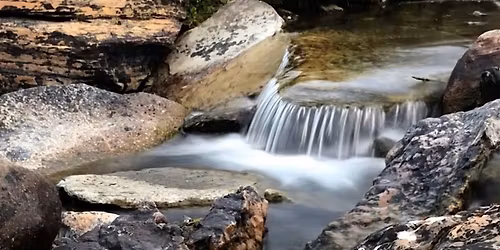 Contemplative Solidarity