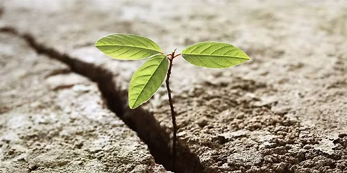 Building resilience & managing emotions