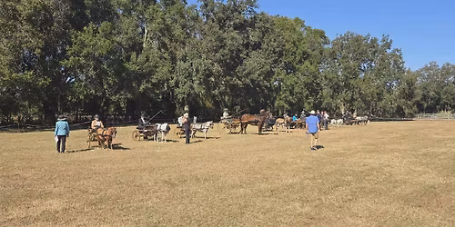 Attelage Clinic with Robert and Stephanie Longstaff
