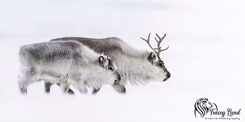 Presentation by Tracey Lund