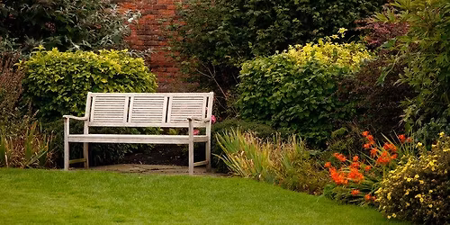 AGM - Wine & Nibbles