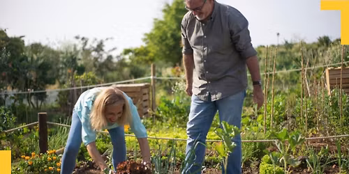 Ap\u00e9ro cueillette \u00e0 Avion