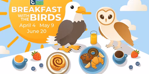 Breakfast with the Birds