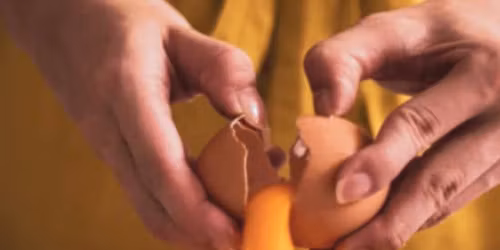 Handmade Pasta with Vodka Sauce - Philadelphia