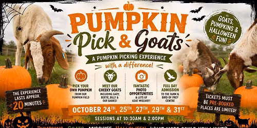 Pumpkin Pick & Goats