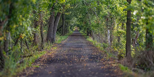 \u2018This is the way; walk in it.\u2019 A directed retreat