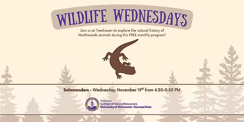Wildlife Wednesday at Treehaven: Salamanders