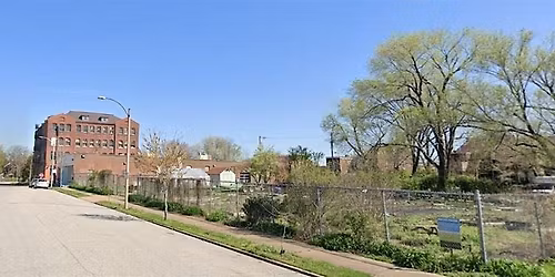 Old North Tree Blitz