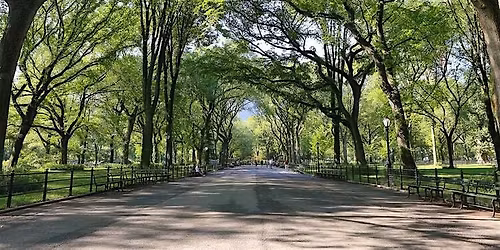 Central Park Sunset Singles Stroll
