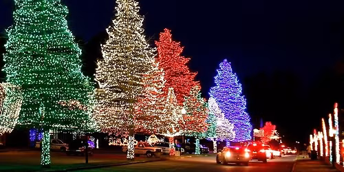 Fantasy of Lights at Swan Lake-Sumter