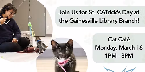 Cat Cafe - Gainesville Library Branch