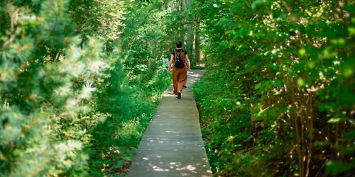 Forest Bathing with Amelia