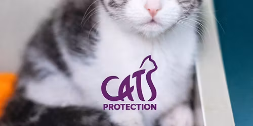 Bournemouth & District Cats Protection Quiz Night
