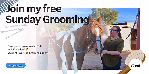 Free Horse Grooming Session