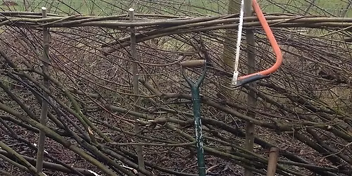 Hedgelaying Weekend for Beginners: 2-day course