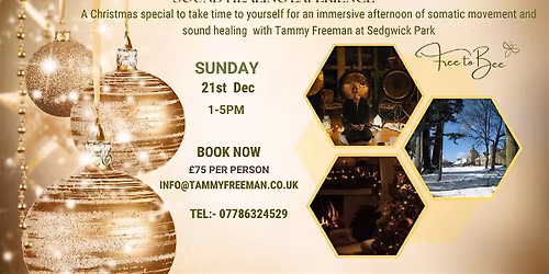 Christmas Sedgwick Park Gong Sound Healing Experience with Tammy Freeman