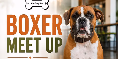 Boxer Meet Up at Dog Bar Sarasota