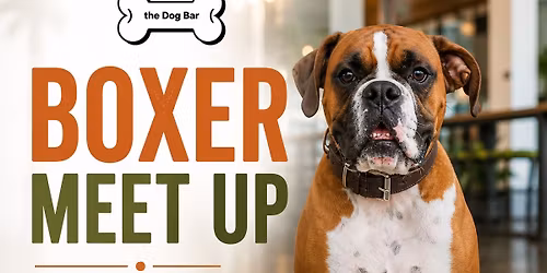 Boxer Meet Up at Dog Bar Sarasota
