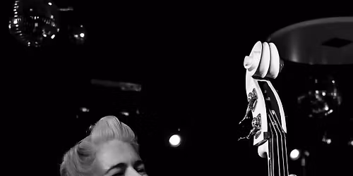 Backyard Whiskers in Leverkusen