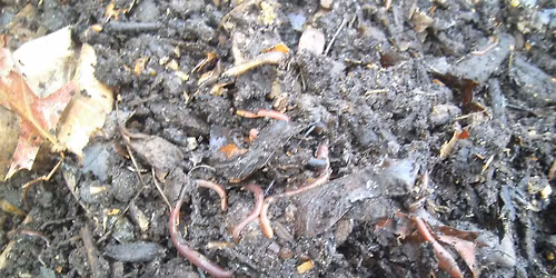 Community Composting at EL Garden with Big Reuse