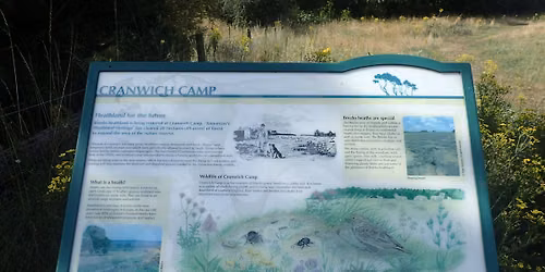 NNNS\/Norfolk Flora Group walk at Cranwich Camp