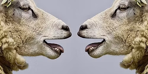 Resilient Communications: Strategy for Polarised Times