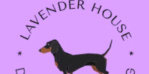 Pontefract Racecourse Monthly Dachshund Walk