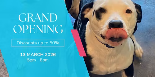 River Market Grand Reopening Party