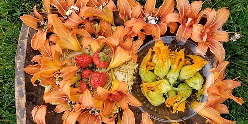 Foraging at the Beekman Library
