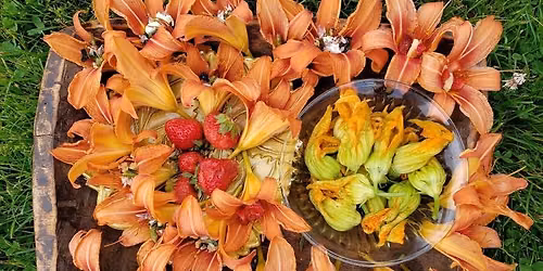 Foraging at the Beekman Library