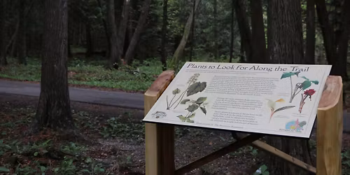 Botanical Wonders Walk