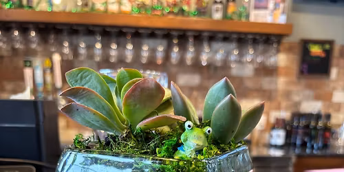 Succulent Planting Class @ Northern Hollow Winery
