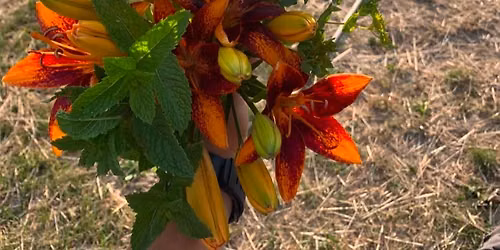 Floral Arrangement Class