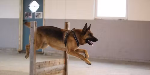 KlikkerTRENERkurs Trinn 1