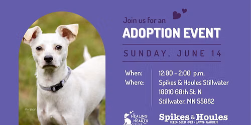 Adoption Event at Spikes & Houles Stillwater
