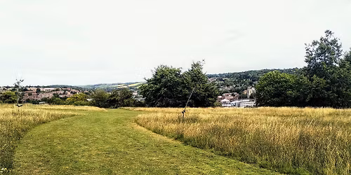 Tom Burt's Hill Awesome Autumn Woodland Work!