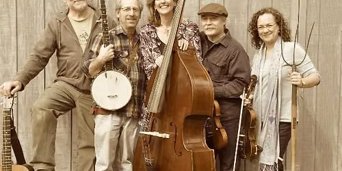 Mr. Haney Appalachian Stringband