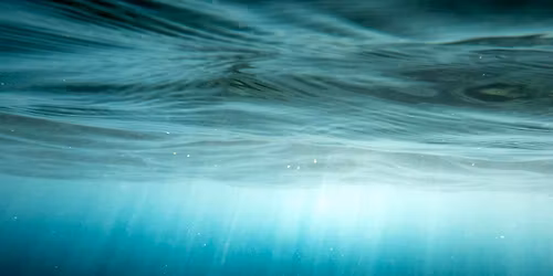 Under Dark Water: A Somatic Movement Workshop