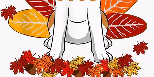 November Roseville Beagle Meet Up