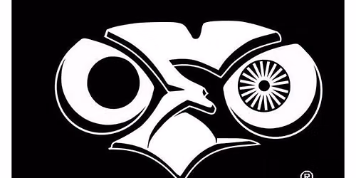 One Eyed Owl