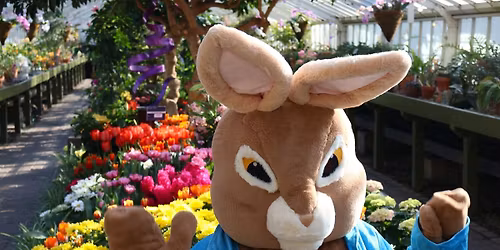 Botanical Bunny Days at the Botanical Gardens