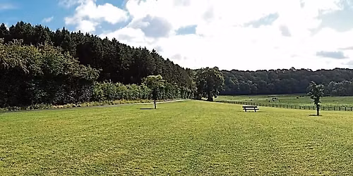 Oak & Oolite Walk: St. Catherine's Park, Leixlip