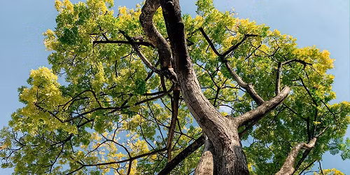 Living Presence: A Centering Prayer Weekend