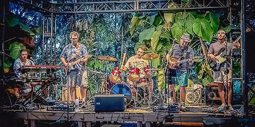 The Walk on Wednesday presents The Ruminators