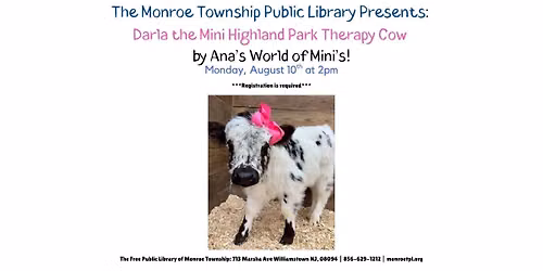 The Monroe Township Public Library Presents: Darla the Mini Highland Park Therapy Cow!