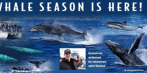 Ultimate 8-hour Whale Watch