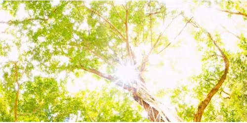 SINGAPORE: Love & Miracles