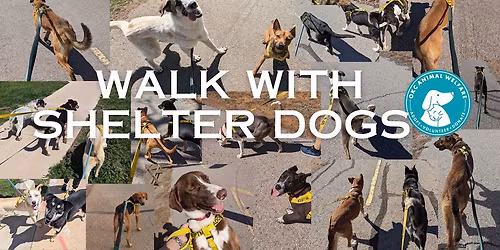 #WalkWithShelterDogs