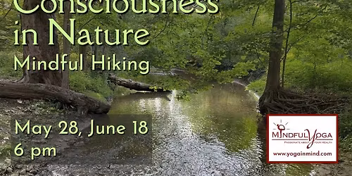 Consciousness In Nature: Mindful Hiking Creating Eco Wellness
