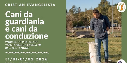 Cani da guardiania e cani da conduzione